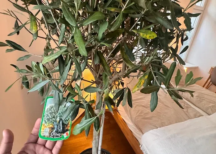 Διαμέρισμα Cozy Altbau In Friedrichshain - Westwing Design Βερολίνο